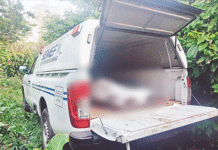 Descubren fosa clandestina con restos en Jalpa.