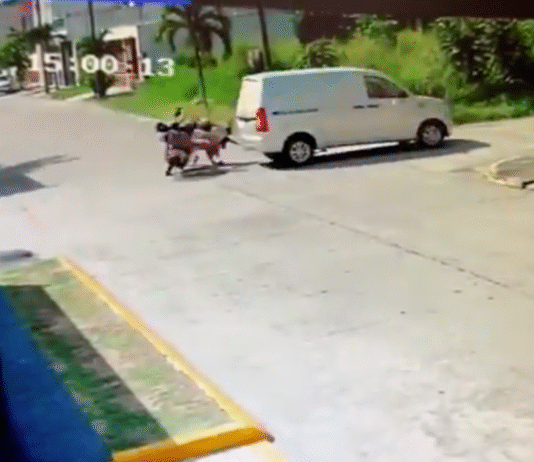 Camioneta arrolla familia y huye tras impacto.