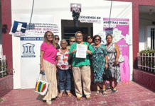 Denuncian a diputado del PT por violencia política de género.