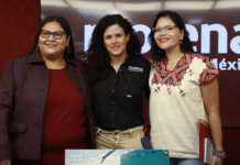 Citlalli deja Secretaría y asume control electoral en Morena.