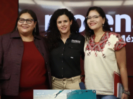 Citlalli deja Secretaría y asume control electoral en Morena.