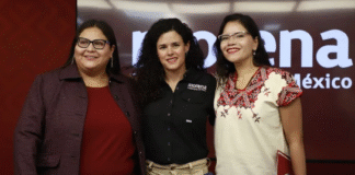 Citlalli deja Secretaría y asume control electoral en Morena.