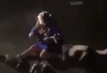 Perro ataca y casi asfixia a mujer en la oscuridad.