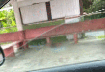 Hallan restos humanos en carretera Jalapa–Villahermosa.