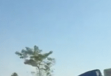 Rapiña sin freno: saquean tráiler mientras chofer pedía ayuda.