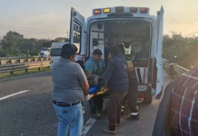Muere en servicio bajo calor extremo elemento de tránsito.