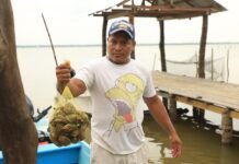 Cárdenas listo con playas limpias para turismo.