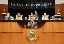 Cantón lidera reforma clave contra feminicidio en el Senado.