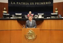 Óscar Cantón exige frenar contrabando de plátano por riesgo sanitario grave.