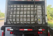 Caen con cargamento ilegal de cerveza en Tabasco.