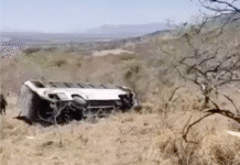 Fatal volcadura de autobús turístico deja muertos y heridos en Nayarit.