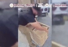 🚨🌿 Golpe al narco: decomisan más de 700 kg en Coahuila.