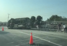 Volcadura de tráiler termina en saqueo masivo de cemento.