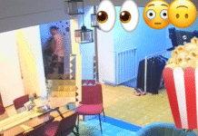 ¡Lo cacharon con tentáculos en acción!