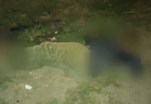 Ejecutan a hombre frente a panteón cardenense.