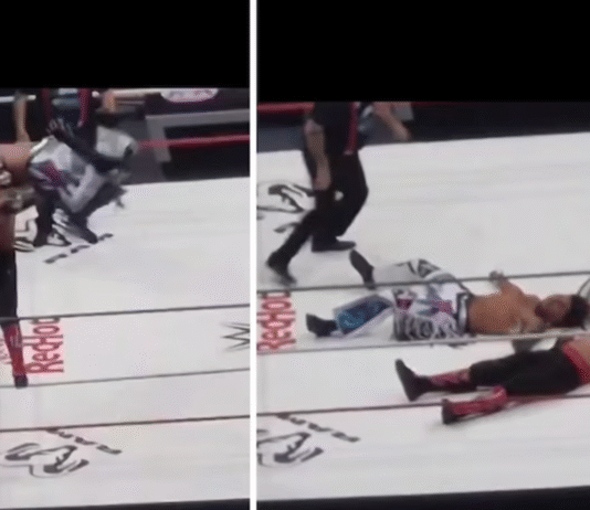 Terror en el ring: Octagón Jr. sale inmovilizado.