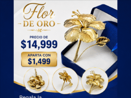 En Jonuta Flor de Oro termina en casa empeño.
