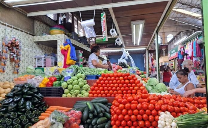 Puesto-de-verduras-en-mercado-Pino-Suárez-de-Mazatlán-1024x630