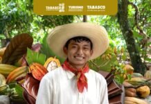 Cacao tabasqueño conquista reconocimiento a nivel nacional.