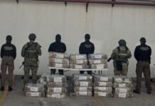 FGR corrige ubicación de avioneta cargada con cocaína asegurada.