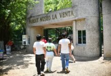 Millonaria rehabilitación transformará histórico Parque Museo La Venta.