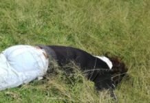 Ejecutan a mujer y abandonan cuerpo en Teapa.