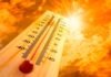Onda cálida golpea Tabasco y aumentan a 68 casos.