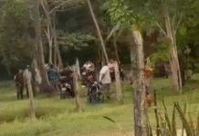 Sujeto recibe disparo directo al cuello en Paraíso.