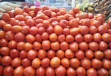 Precio del tomate cae 30% en Villahermosa.