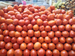 Precio del tomate cae 30% en Villahermosa.