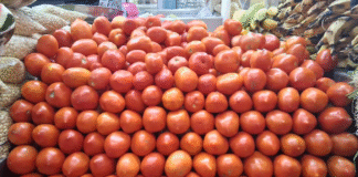 Precio del tomate cae 30% en Villahermosa.