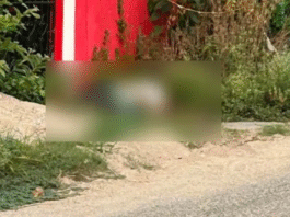 Asesinan a balazos a conocido comerciante huimanguillense.