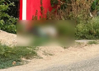 Asesinan a balazos a conocido comerciante huimanguillense.