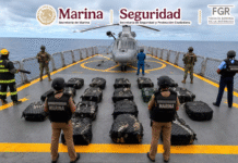Marina intercepta 800 kilos de cocaína en Guerrero.