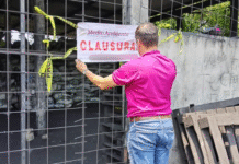 ¡Decomisan toneladas de carbón pirata en Centro!