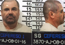 ¡»El Chapo» Guzmán manda cartas de auxilio a Claudia Sheinbaum!