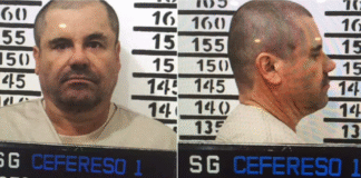 ¡»El Chapo» Guzmán manda cartas de auxilio a Claudia Sheinbaum!