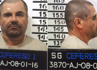 ¡»El Chapo» Guzmán manda cartas de auxilio a Claudia Sheinbaum!