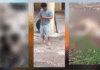 ¡Dejaron ciego y sordo a perrito en Macuspana!
