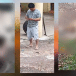 ¡Dejaron ciego y sordo a perrito en Macuspana!