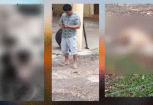 ¡Dejaron ciego y sordo a perrito en Macuspana!