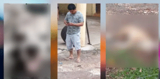 ¡Dejaron ciego y sordo a perrito en Macuspana!