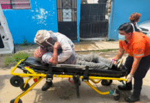 ¡Picaduras de muerte! Abejas africanas matan a un hombre.
