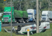 ¡Voló hacia la maleza! Taxi termina llantas arriba tras perder el control.