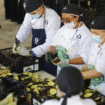 Jalisco rompe Récord Guinness con el guacamole más grande del mundo.
