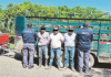 Detienen a tres hombres con ganado ilegal en Jonuta.