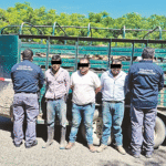 Detienen a tres hombres con ganado ilegal en Jonuta.