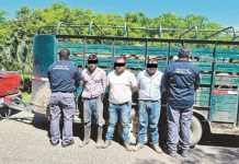 Detienen a tres hombres con ganado ilegal en Jonuta.