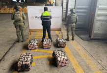 ¡Narcos sudamericanos caen con millonario cargamento de polvo blanco!