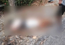 ¡Le llovieron plomazos al «Tajoya» y quedó tirado en la carretera!
